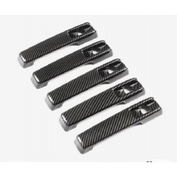 W463 carbon fiber door...