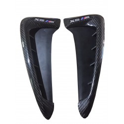 F15 X5 carbon fiber fender...