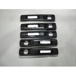 W463 carbon fiber door...